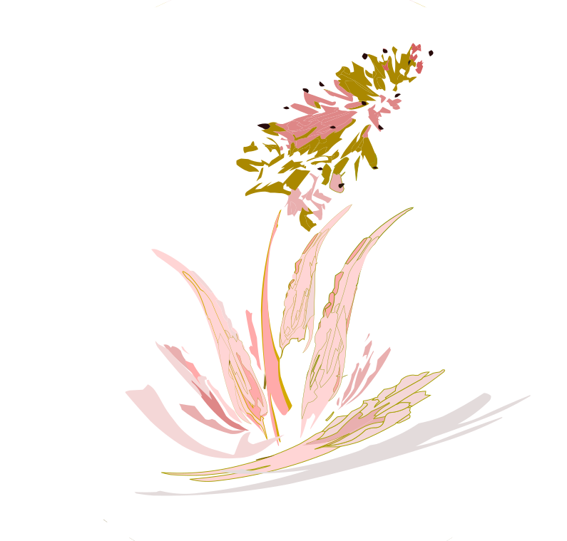 depilacion laser permanente 8